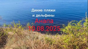 Анапа 10.08.2025 Дикие пляжи и Дельфины