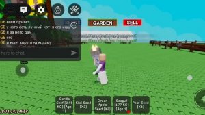 ищу лунного кота