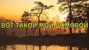Вот такой мой домовой