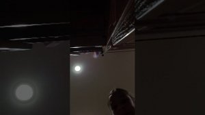 зайки мои🐾🎀🙏🏻