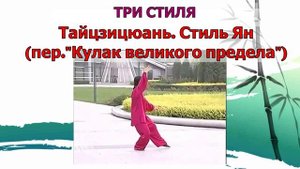 Тайцзицюань (кратко)