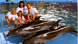 11 июля 2025, Лазаревское, Дельфинарий "Морская звезда"