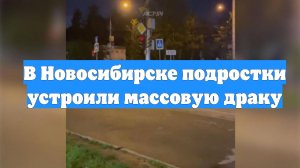 В Новосибирске подростки устроили массовую драку