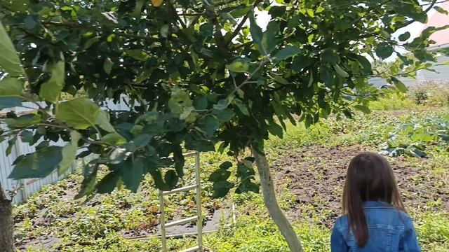 Маска динозавр,,Раптор,, прогулка по деревне