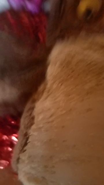 1000001341.mp4 смотреть онлайн