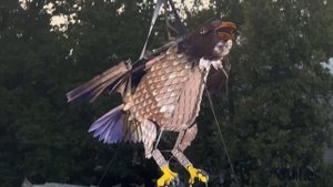 Фестиваль театров в Санкт-Петербурге 2025. Театр Пластилиновый дождь. Елагин остров