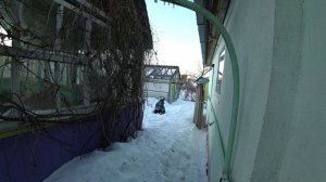 Влог от 09.03.2021