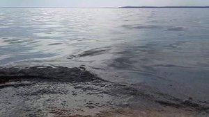 Озеро Нарочь. Плеск волн. Август