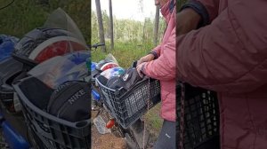 Съездили за черникой 🫐