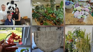 10.08.2025 г Моя работа/ Парк Победы/ Цветочный дворик/ Ситцевая свадьба/ День со мной