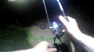 Сошёл лещ ночью #fishing #рыбалканафидер #рыбалканочью