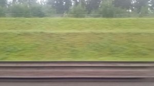 Ласточка Москва - Санкт-Петербург