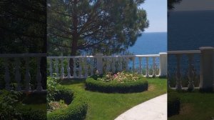 Санаторий Айвазовское, прогулка по парку