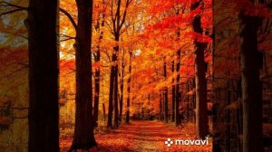 Кленовый лист