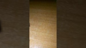 245 скибиди туалет