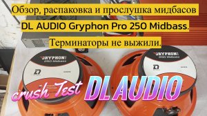 Обзор, распаковка и прослушка мидбасов DL AUDIO Gryphon Pro 250 Midbass. Терминаторы не выжили.