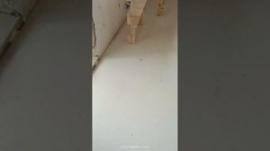 Выравниваем пол универсальной смесью ремонт под ключ