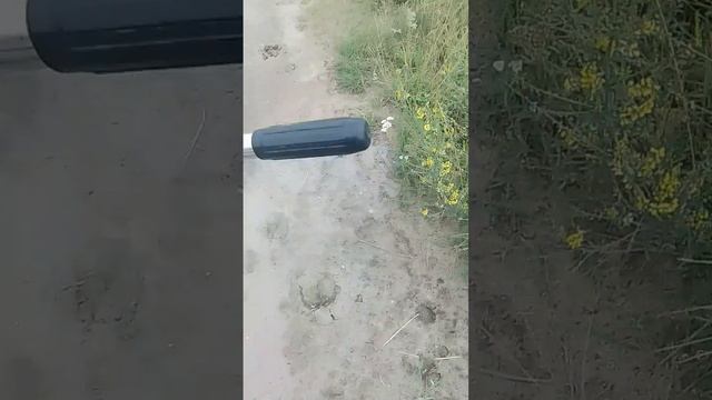 Велопрогулка