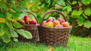 "Еще одна осень..." Стих, Шинкарева Светлана