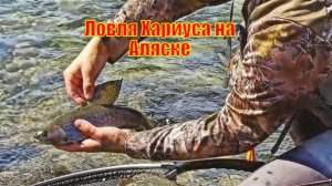 Ловля Хариуса на Аляске. Рай для нахлыстовиков на Земле.