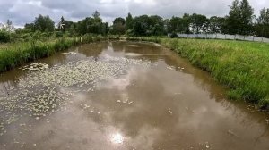 Поймал рыбу ! Выпущу фазана ! ХУТОР В ЛЕСУ №763