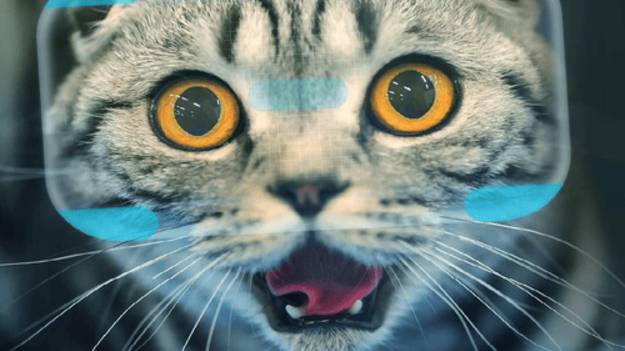 CATIFY VR - TRAILER смотреть онлайн