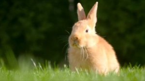 beehive1-culture-video-unit-5