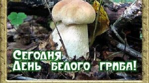 11 АВГУСТА – ДЕНЬ БЕЛОГО ГРИБА. САМЫЙ ВКУСНЫЙ ГРИБ. ЦАРЬ ГРИБОВ!