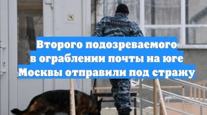 Второго подозреваемого в ограблении почты на юге Москвы отправили под стражу