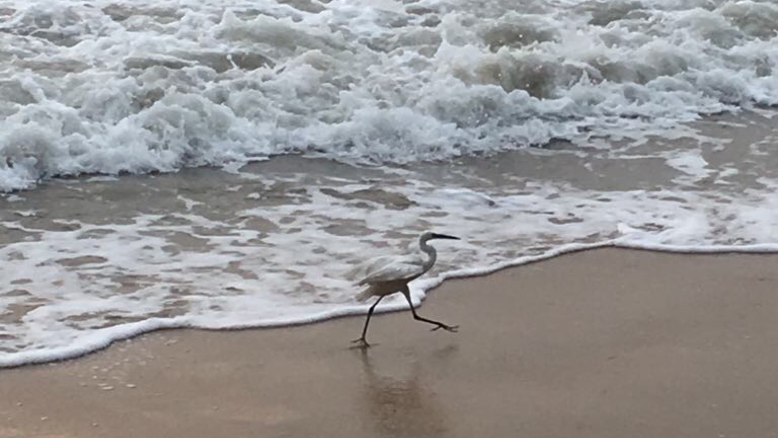 Полные чашки… смотреть онлайн