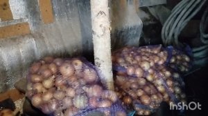 11.08.2025. Как живут в русской деревне /обед аристократов...