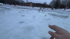 Все-таки поймал! Форелевый жор. Две рыбалки в одном видео
