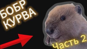 "Сидим с бобром за столом"клип (часть 2)