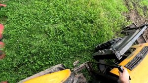 Псих вернулся ! Ванна для страусов ! Овчарня к зиме готова ! ХУТОР В ЛЕСУ №772