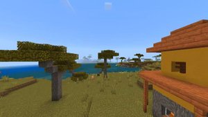 Тест на Серены