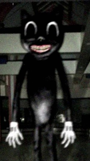 мультяшный кот (short)