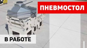 Стол пневмосортировальный СП-200 производства ПОЛЫМЯ  в работе. Оренбургская область