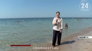 Туристов пугают «желейные» берега. В чем причина скопления медуз в западном Крыму