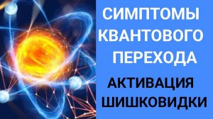 ПОЧЕМУ У МНОГИХ СБОЙ В ПСИХИКЕ КАК СПРАВИТЬСЯ? Странное поведение людей.