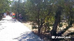 Крым. Новый Свет. Прогулка август 2025 г!