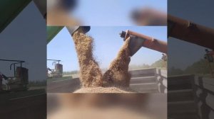 У нас как-то так ☀️