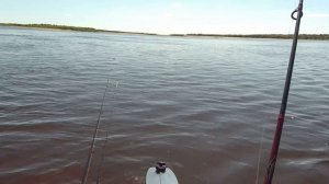 Рыбалка в Борке июль 2025 г