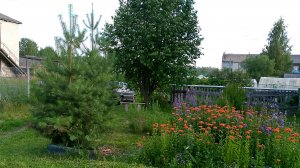 Secret Garden (Rolf Lovland)(кавер )
https://www.realrocks.ru/id248279/video/144509/