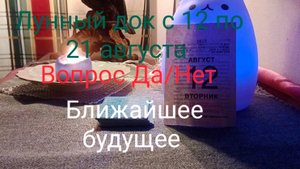 Лунный док с 12 по 21 августа; Вопрос Да/Нет;  Ближайшее будущее.