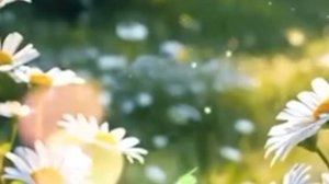 ДОБРОЕ УТРО от чистого сердца! Это видео зарядит позитивом на весь день!🌅