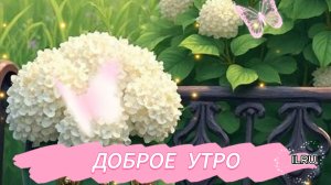 Доброе Утро, пора просыпаться 💛🤗🌞