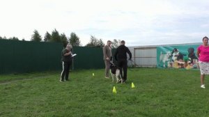 Тестирование Стиль Белогорья Важная Весть