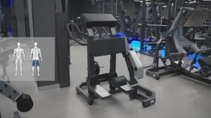 Тренажер D955 Сгибание ног стоя