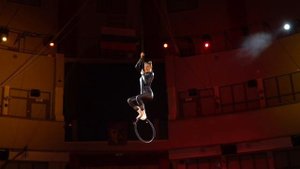 Цирковая школа " мы из цирка", Четайкина Елизавета " жизнь кошки"