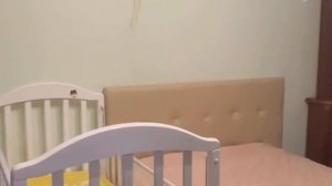 video_2025-08-11_13-53-34